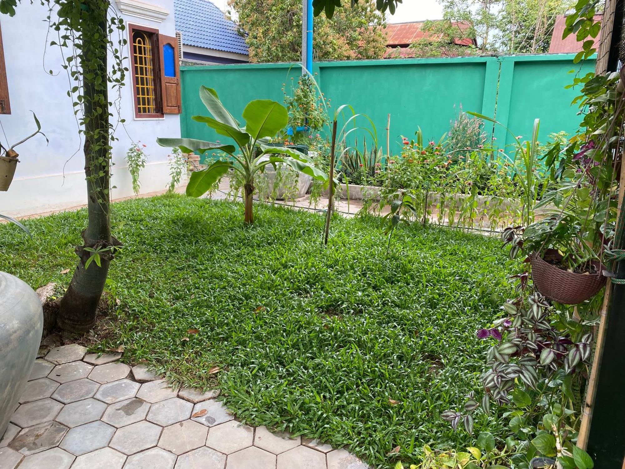Bloom Garden Bed & Breakfast Siem Reap Exterior photo