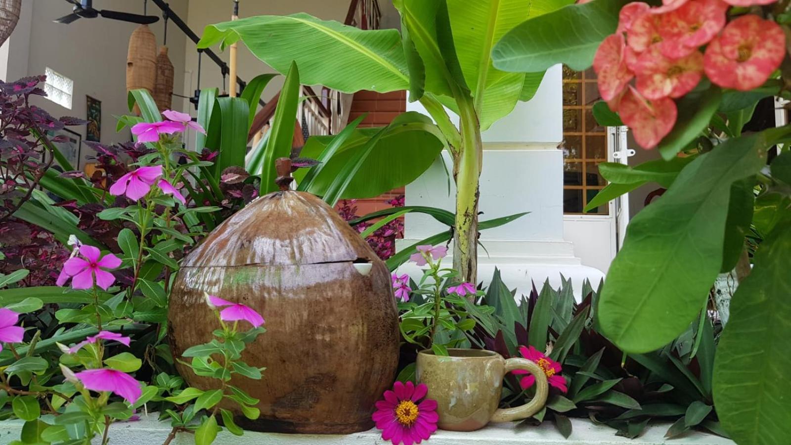 Bloom Garden Bed & Breakfast Siem Reap Exterior photo